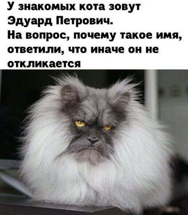 Так себе картинки 17.05.22