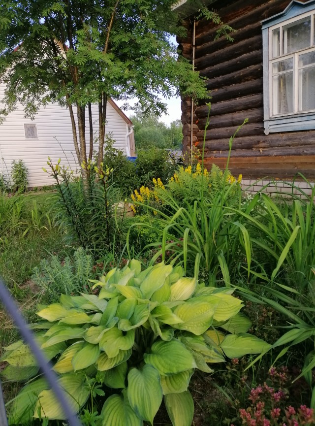 Для любителей сада-огорода