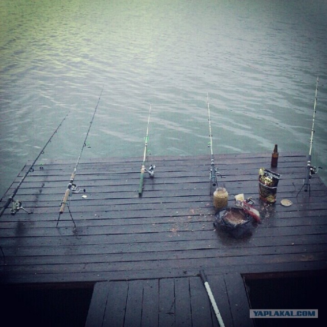 Моя первая рыбалка...