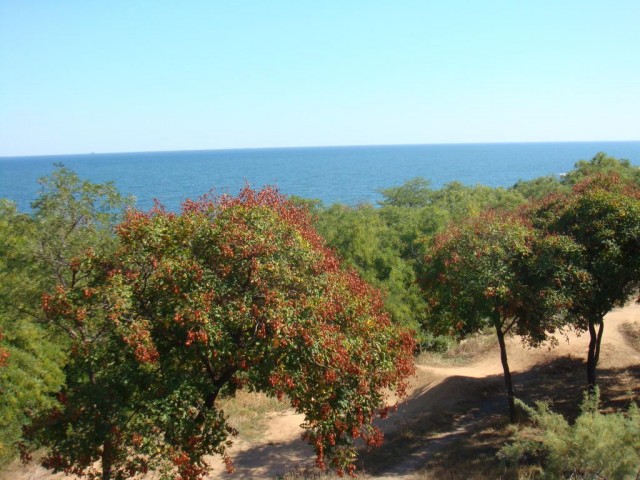 Одесса 2012