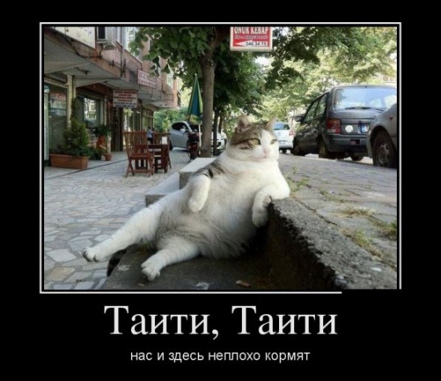 Таити и Бора Бора. Французская Полинезия.