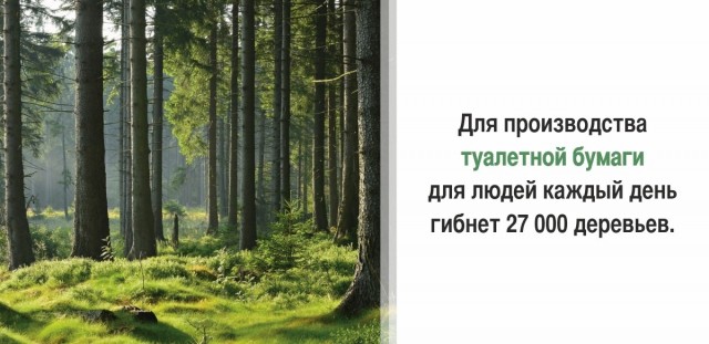 30 суровых фактов, которые пугают больше, чем фильмы ужасов