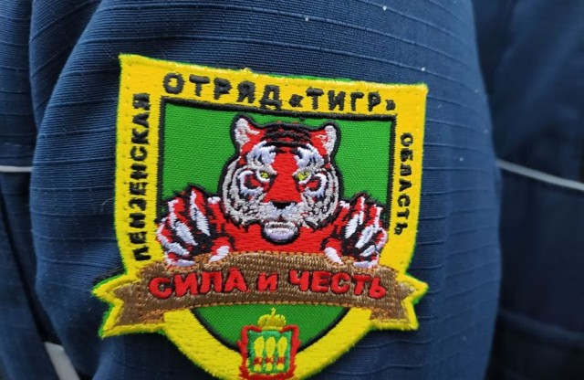 В Пензенской области на улицы выйдут отряды «Тигр»