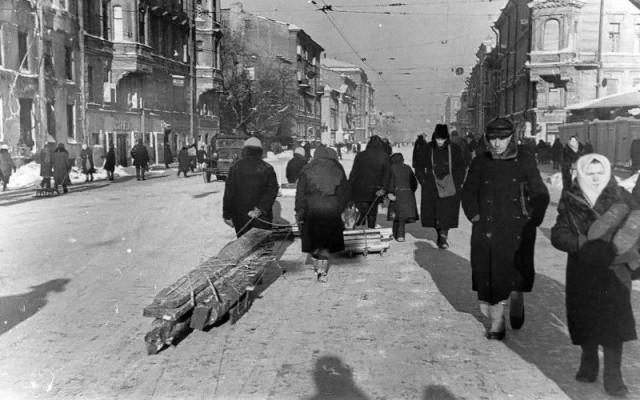 Спасти Ленинград от эпидемии. История блокадного витаминного коктейля