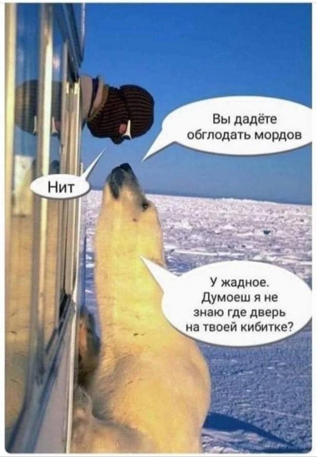 Так себе картинки 18.01.23