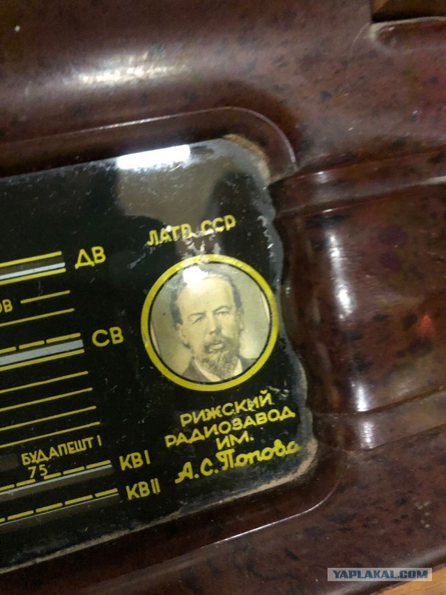 Находки и загадки. Отчет за зимний период