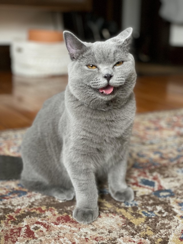 Подборка интересных и прикольных фото из Сети 01.04.23