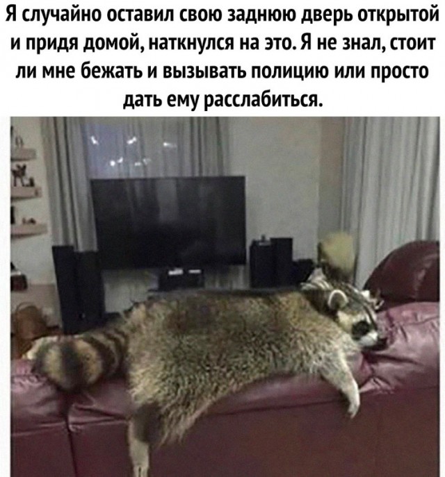 Немного картинок для настроения - 177