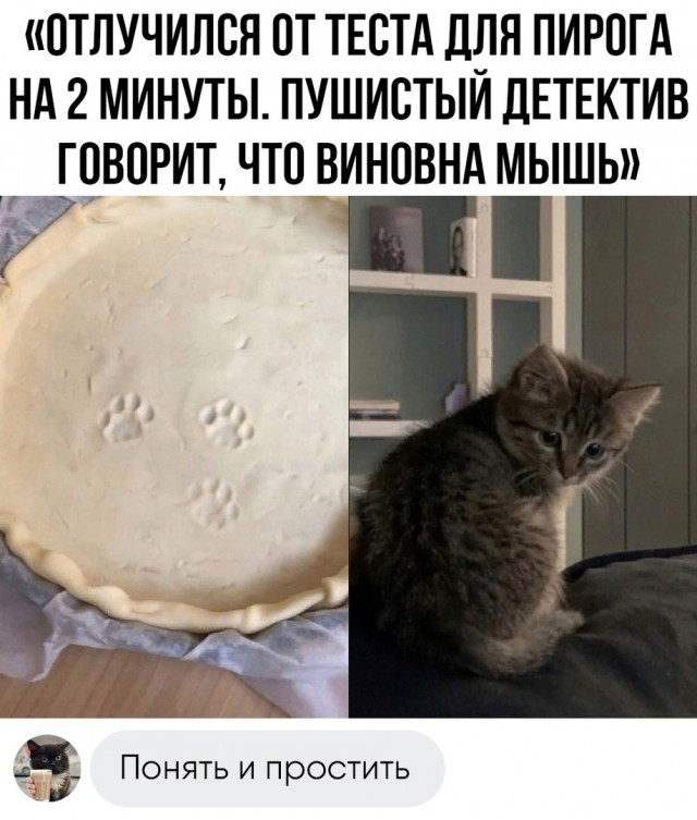 Так себе картинки 30.05.23