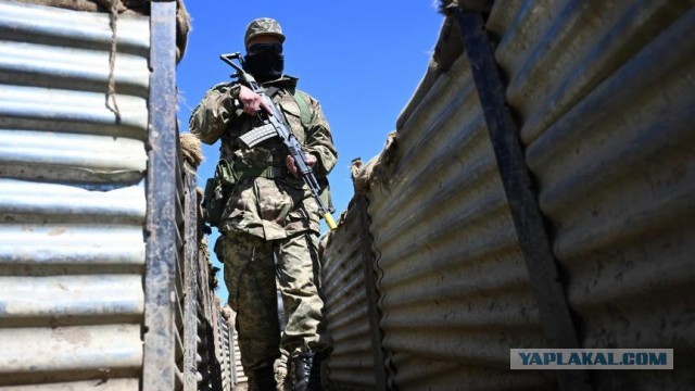 Бельгия потребует объяснений от Киева за использование оружия ее производства при рейде "РДК" под Белгород
