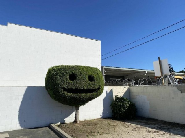 Подборка интересных и веселых картинок