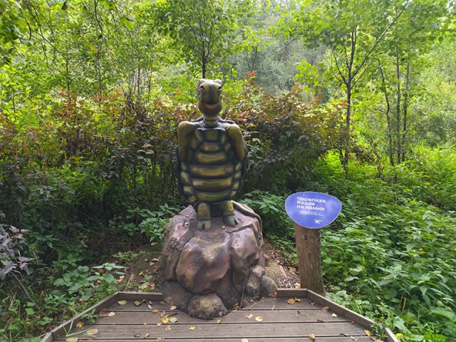 Волшебная страна