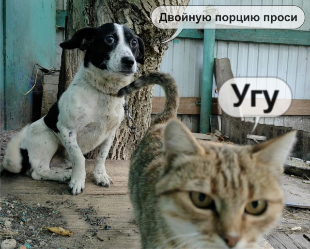 Маруся и Бим