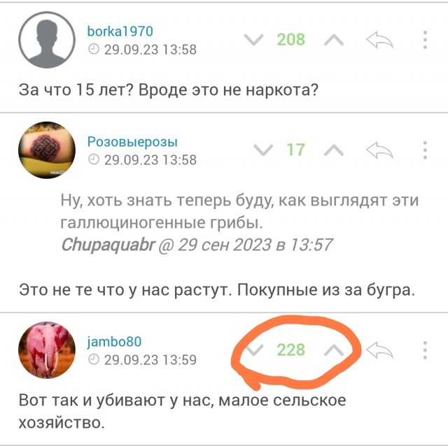 Чувак из Крыма, который выращивал галлюциногенные грибы, встретил полицейских с радостью