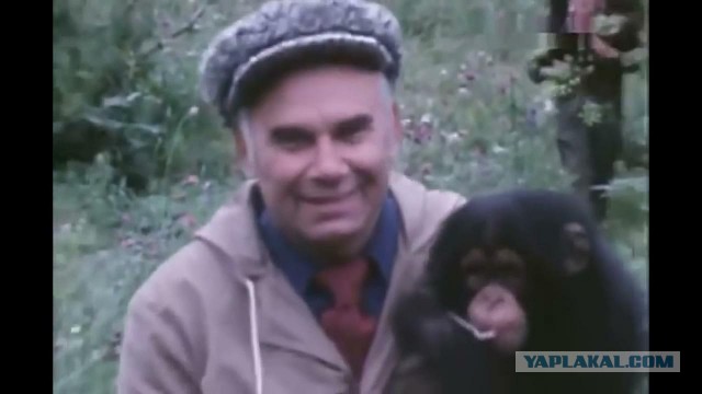 Дядя Коля о смерти.