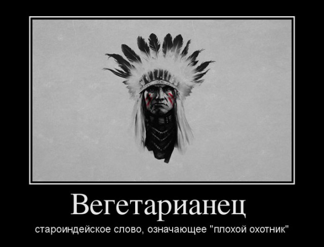 Охотник не всегда должен стрелять!