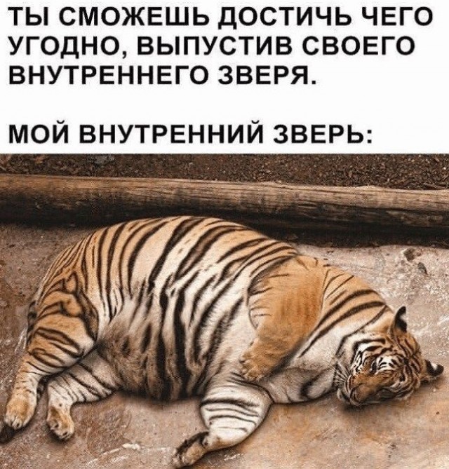 Прикольные комменты и картинки