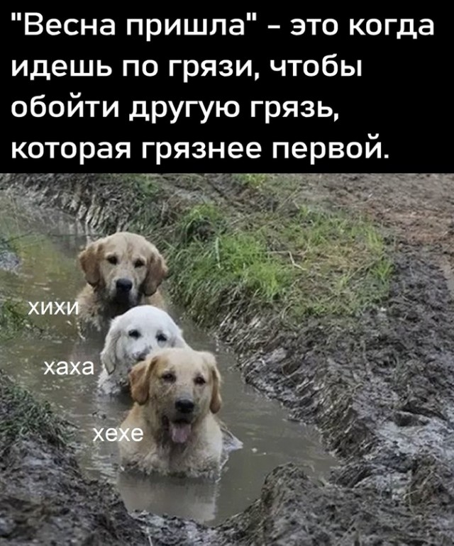Весёлый полтишок 13.03.24
