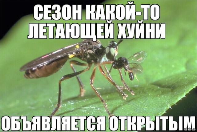 Так себе картинки 09.04.24