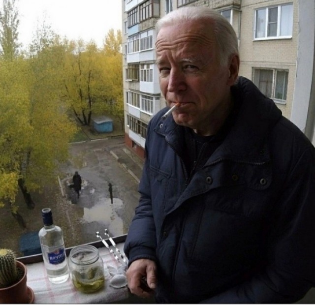 Небензя, ООН