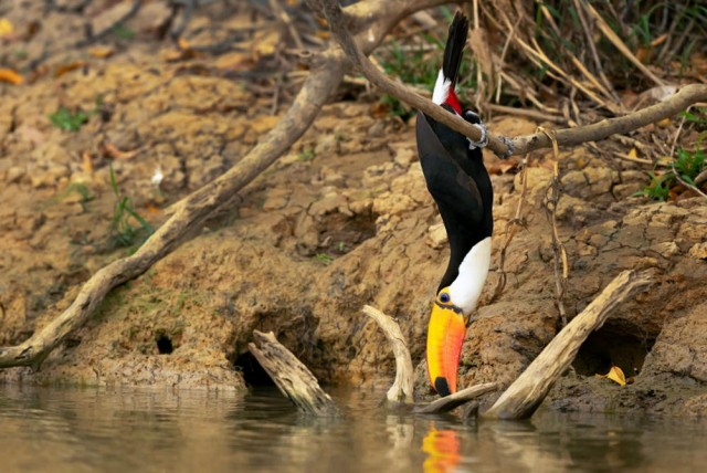 Всего понемногу. От 13.01.2025