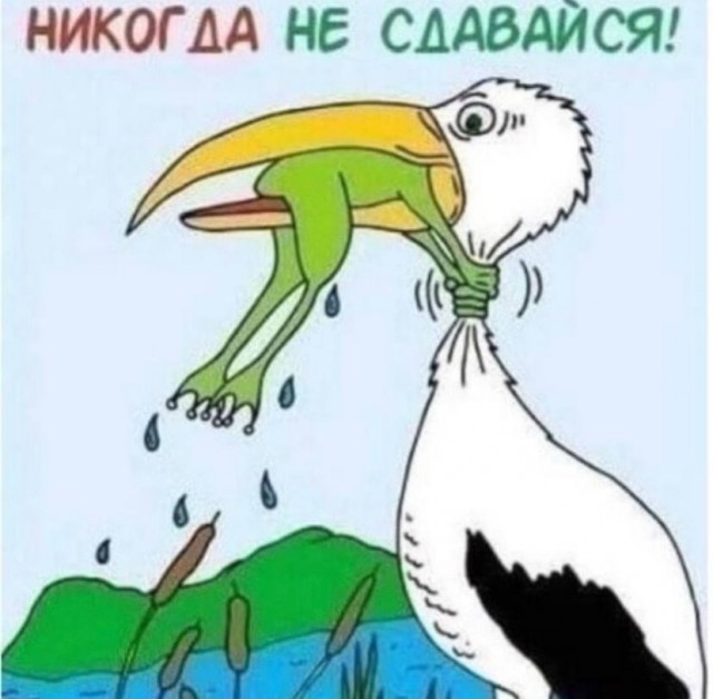 Теперь вы это видели