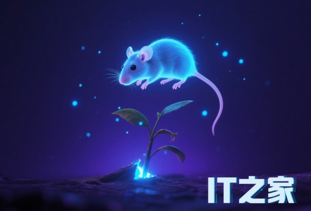 Биологи обнаружили сверхслабое свечение живых существ, исчезающее после гибели