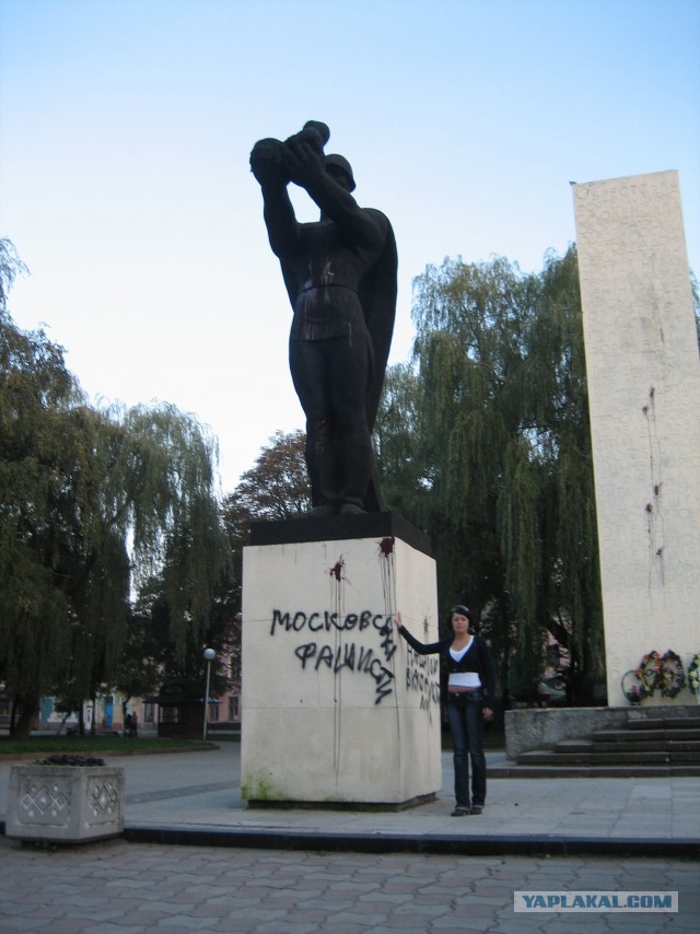 Моя нора на СВО