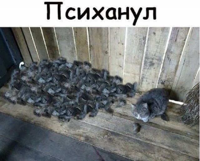 Так себе картинки 10.06.25