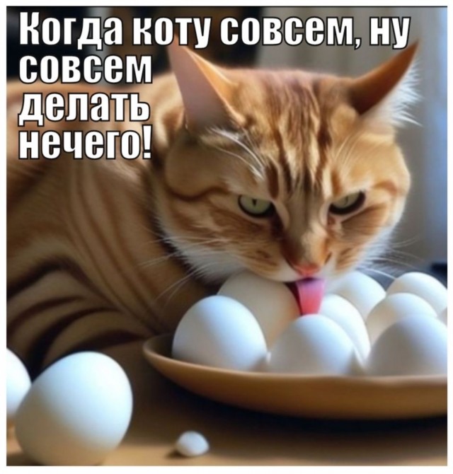Завалялось тут случайно немного забавных картинок