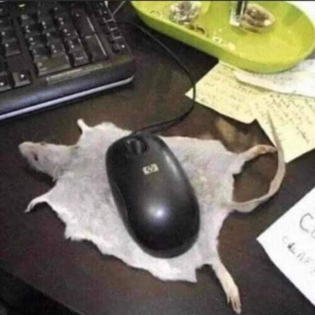Субботние картинки