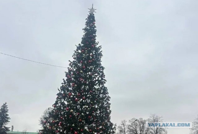 Нижегородцам объяснили, почему новогодняя ель на Минина стоит криво