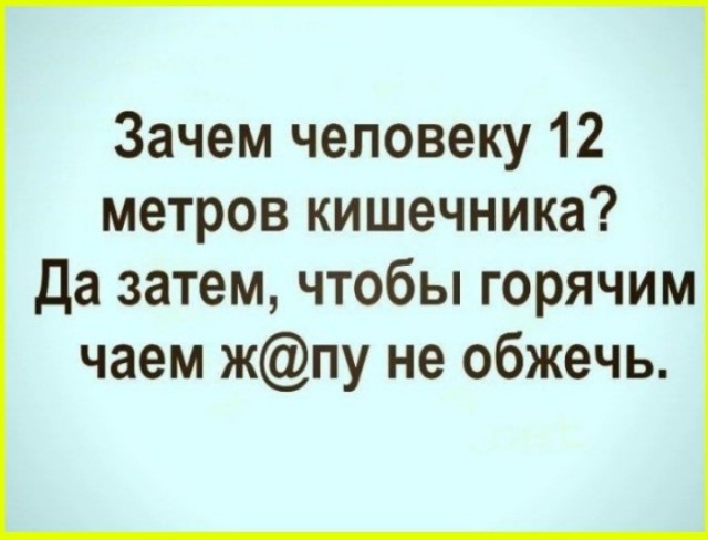 Картинки для деградации 231 (разной степени свежести)