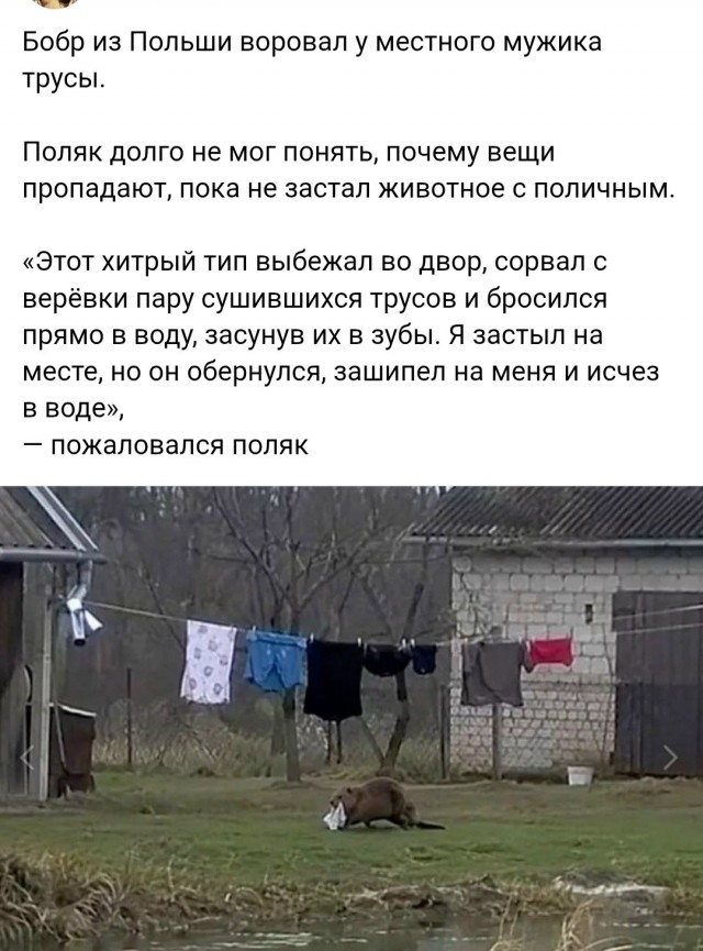 Картинки для деградации 254 (разной степени сежести)