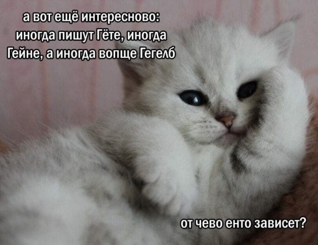 Картинки для деградации 278 (разной степени свежести)