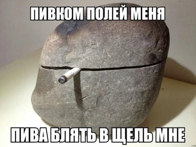 Мозг утерян безвозвратно, мы танцуем прикроватно!
