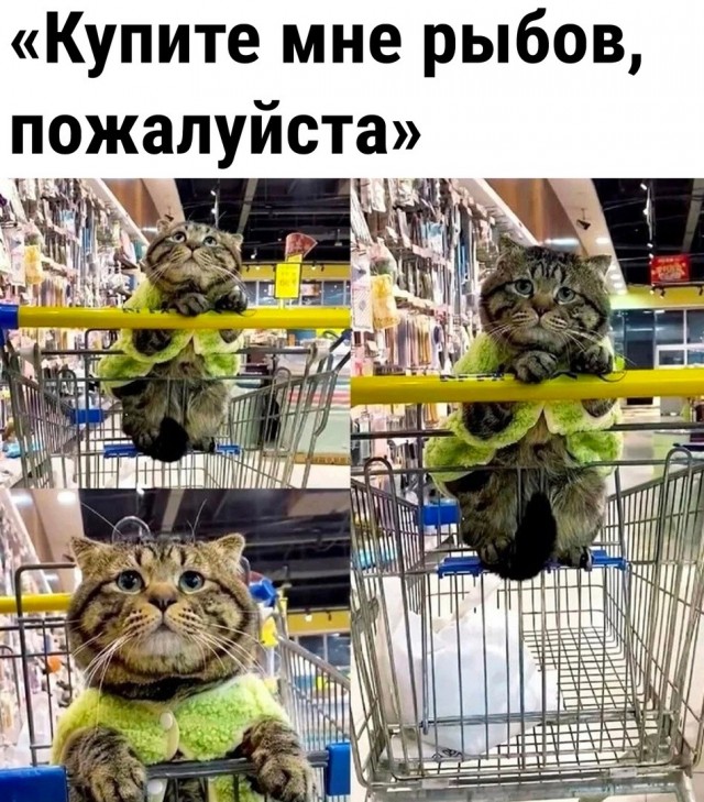 Так себе картинки 03.10.26