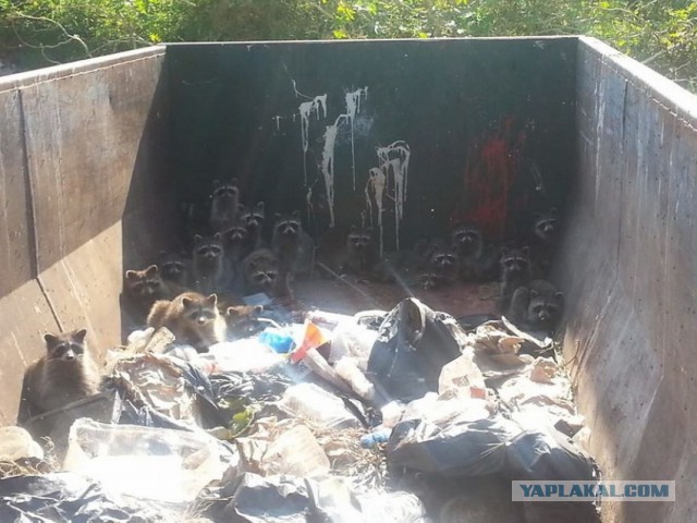 Предлагаю помочь УКРОСМИ с доказухой, раз её нет