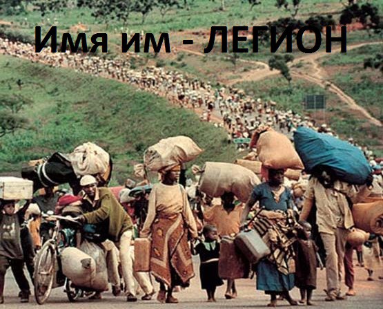 Латвии придется принять африканских беженцев