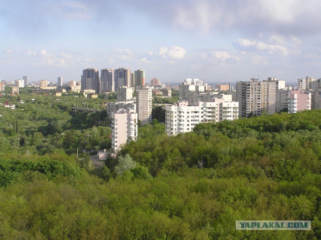 Вид за 22 миллиона долларов