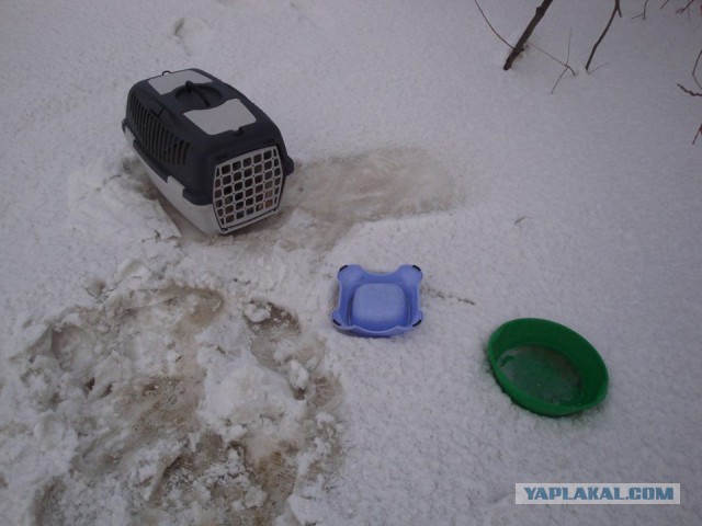 О людях - "нелюдях"!