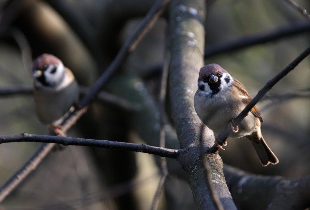 Подборка интересных и веселых фото