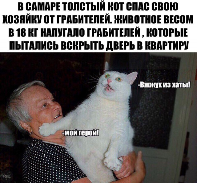 Фото-коктейль...