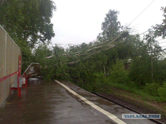 В Москве ураган!