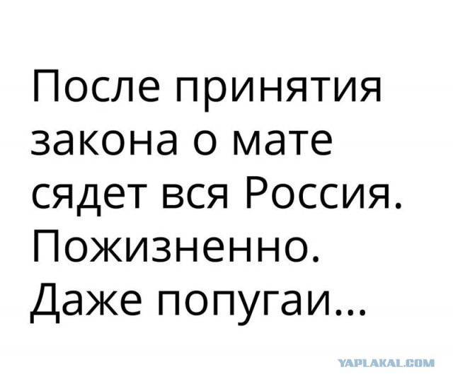 Забавные комментарии, шутки и фразы из этих ваших интернетов