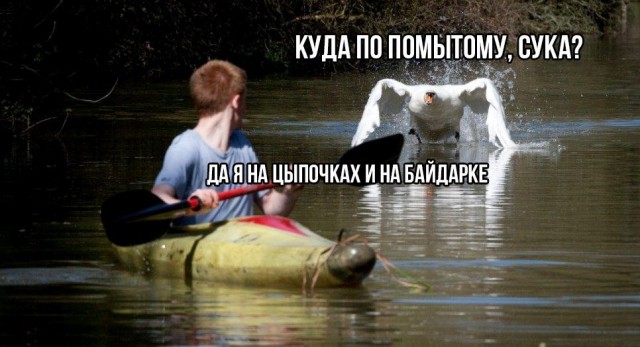 Тупанём?