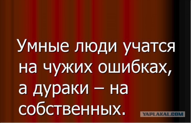 ВЦИОМ порадовал