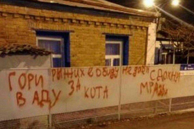 Придурок вымыл автомобиль котом
