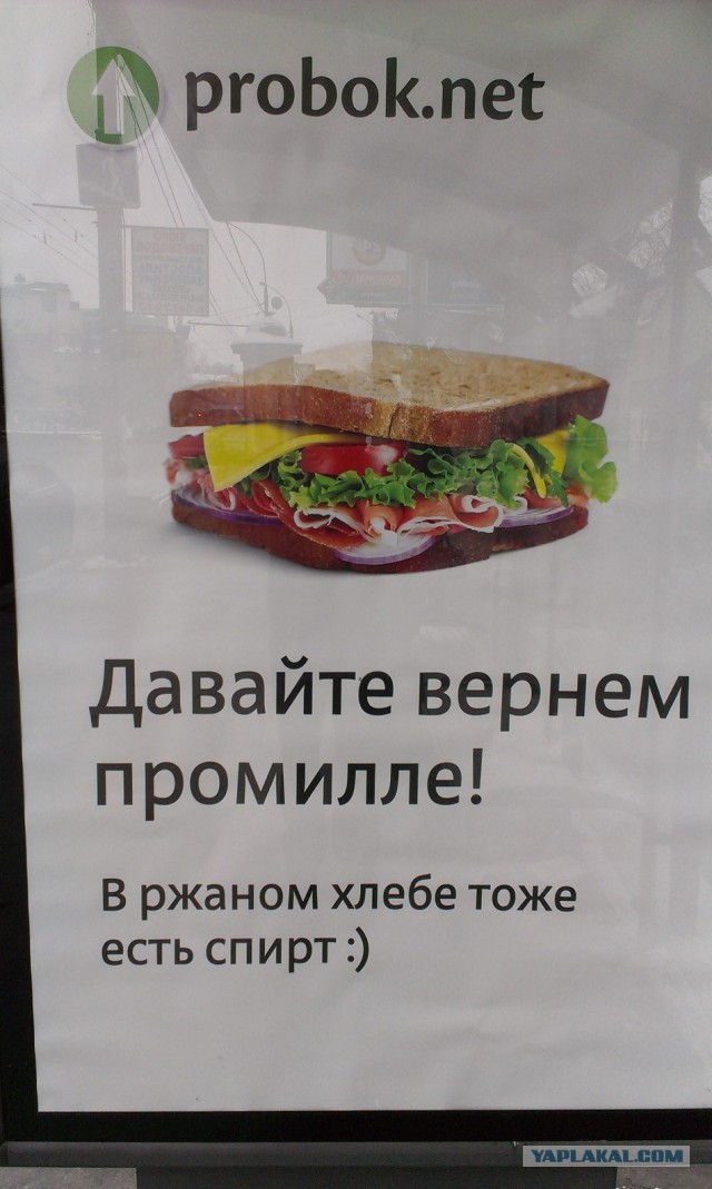 Подборка картинок с личного мобильного