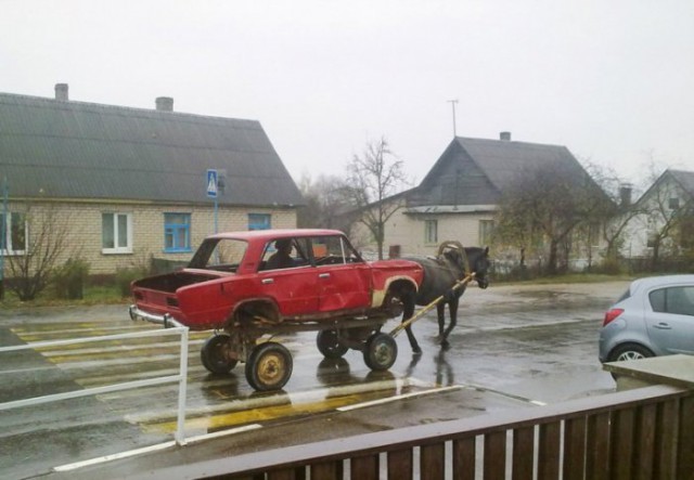 Чудики из социальных сетей